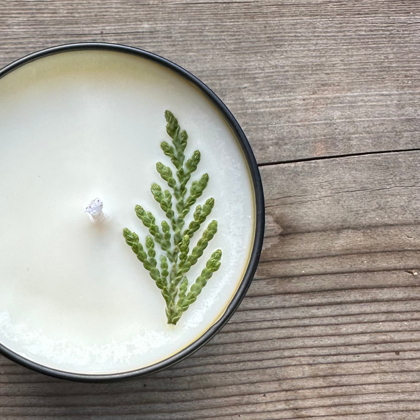 Forest Floor Soy Candle \ Fir, Moss, Cedar & Amber