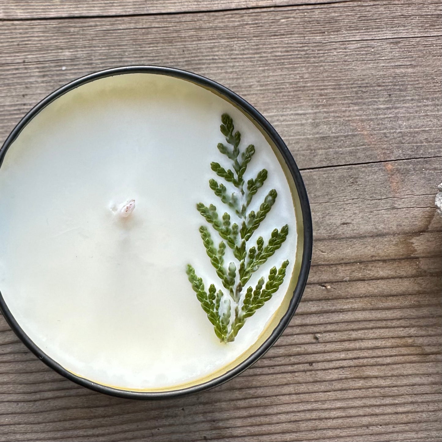 Cypress Bowl Soy Candle \ Balsam Fir, Pine, Resin, Spruce & Citrus