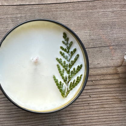 Cypress Bowl Soy Candle \ Balsam Fir, Pine, Resin, Spruce & Citrus